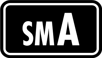 icon pokemon sun moon starter set