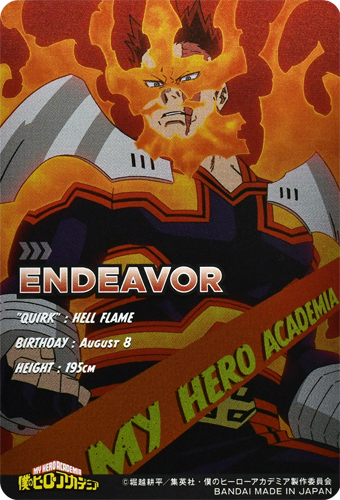 boku no hero card vol3 endeavor back